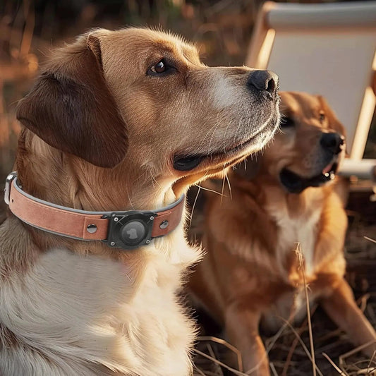 Leather AirTag Dog Collar with Built-In Holder, Reflective Adjustable Design