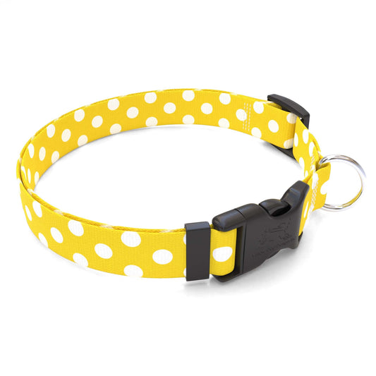 Collier pour chien personnalisé à pois citron