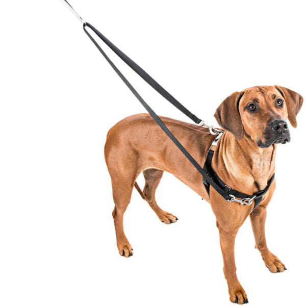 Harnais pour chien Freedom bleu marine anti-traction