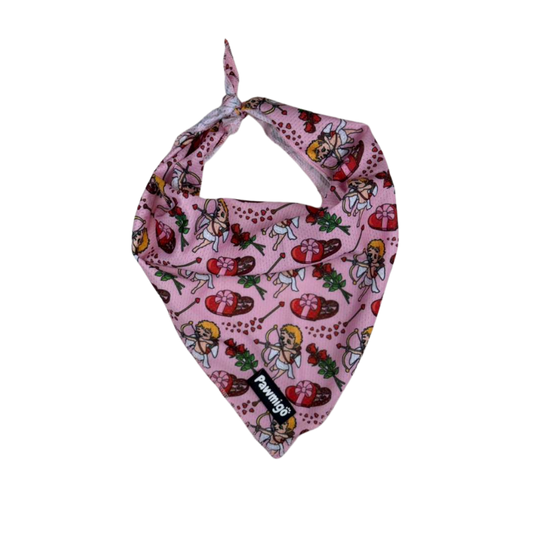 Bandana amoureux