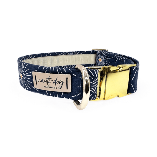 Collier pour chien Northstar Celestial Constellation avec boucle et martingale bleu marine