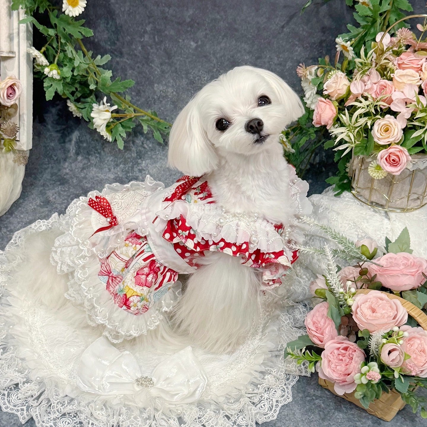 Handmade Sweet Lolita Pet Dress
