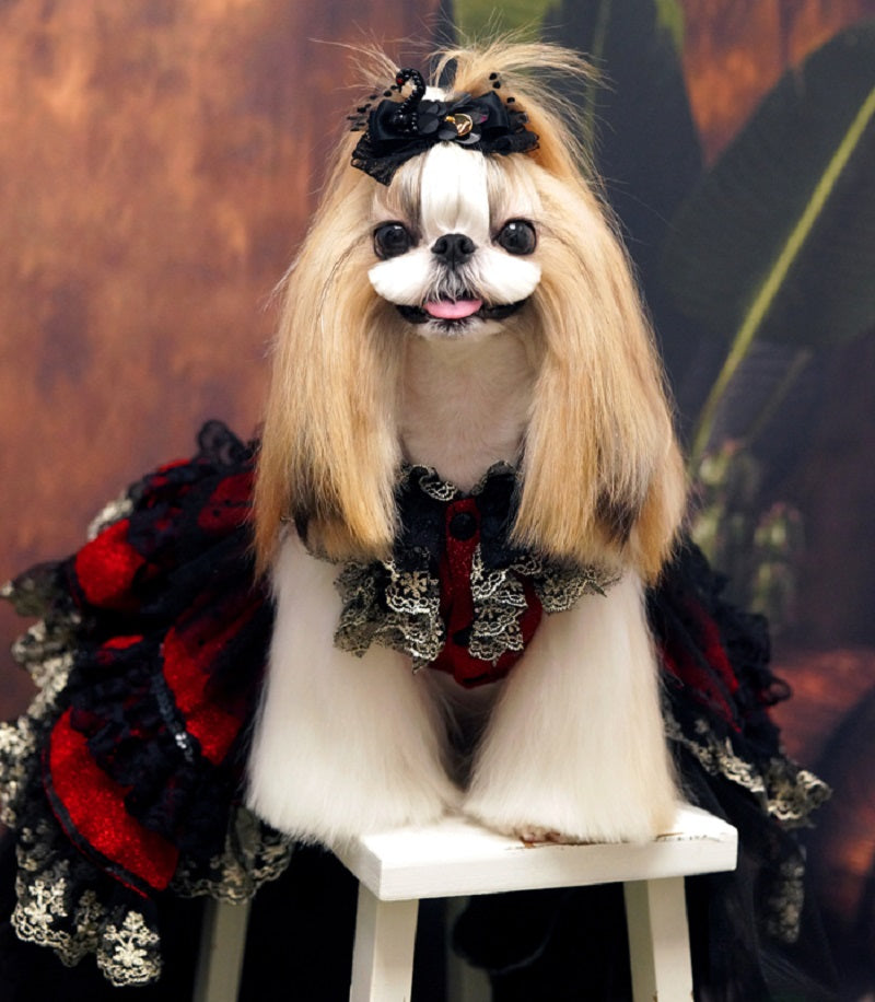Red Gothic Princess Dog Dress – Luxury Victorian Puppy Ball Gown with Black Lace Crinoline Skirt
