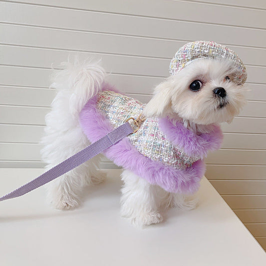 Dog cape+hat+leash lavande tweed