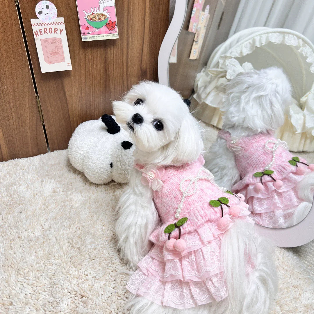 Dog Sweater Dress Pink Cherry