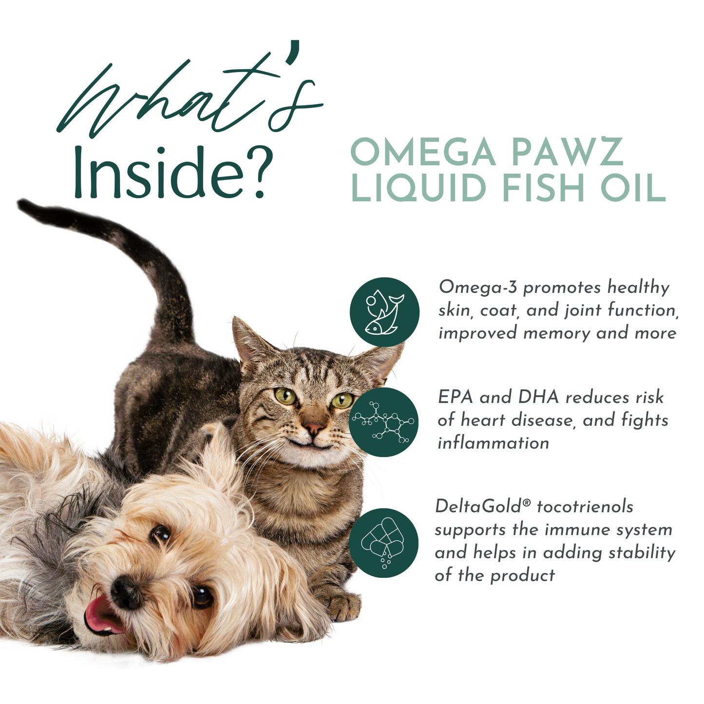 Omega Pawz - Aceite Omega 3 líquido para perros y gatos