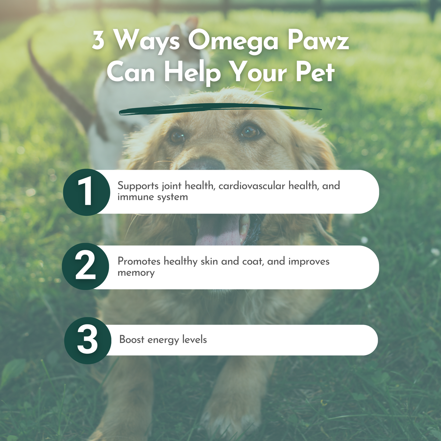Omega Pawz - Aceite Omega 3 líquido para perros y gatos