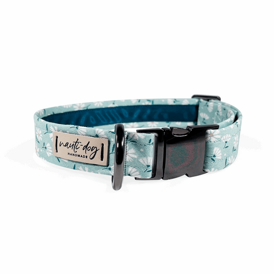 Collier pour chien Paperwhite Sea Glass Green Daisy à boucle florale et martingale