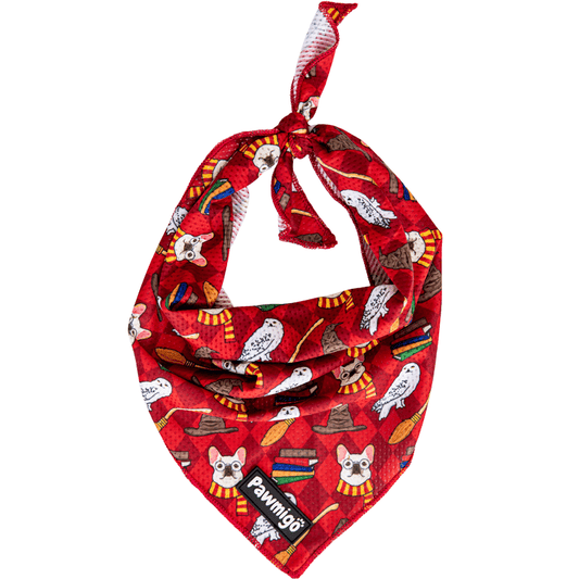 Bandana rafraîchissant Pawgwarts