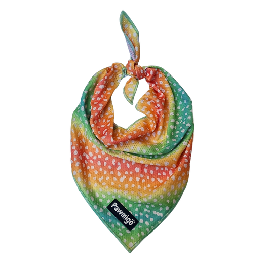 Bandana rafraîchissant Chasing Rainbows