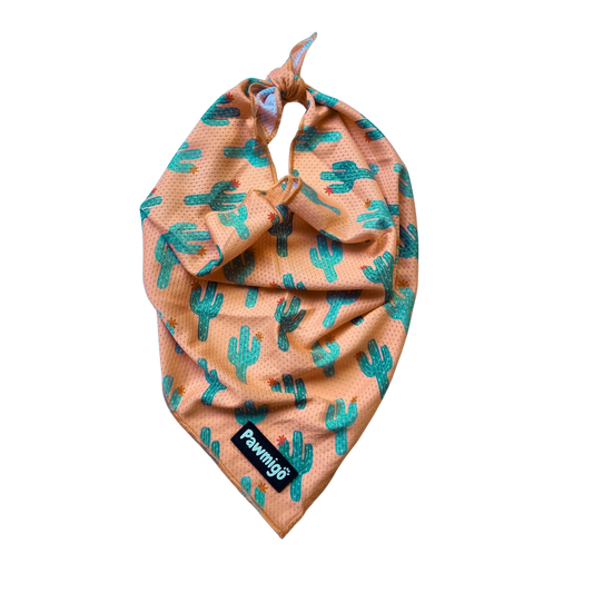 Bandana rafraîchissant Succa For You