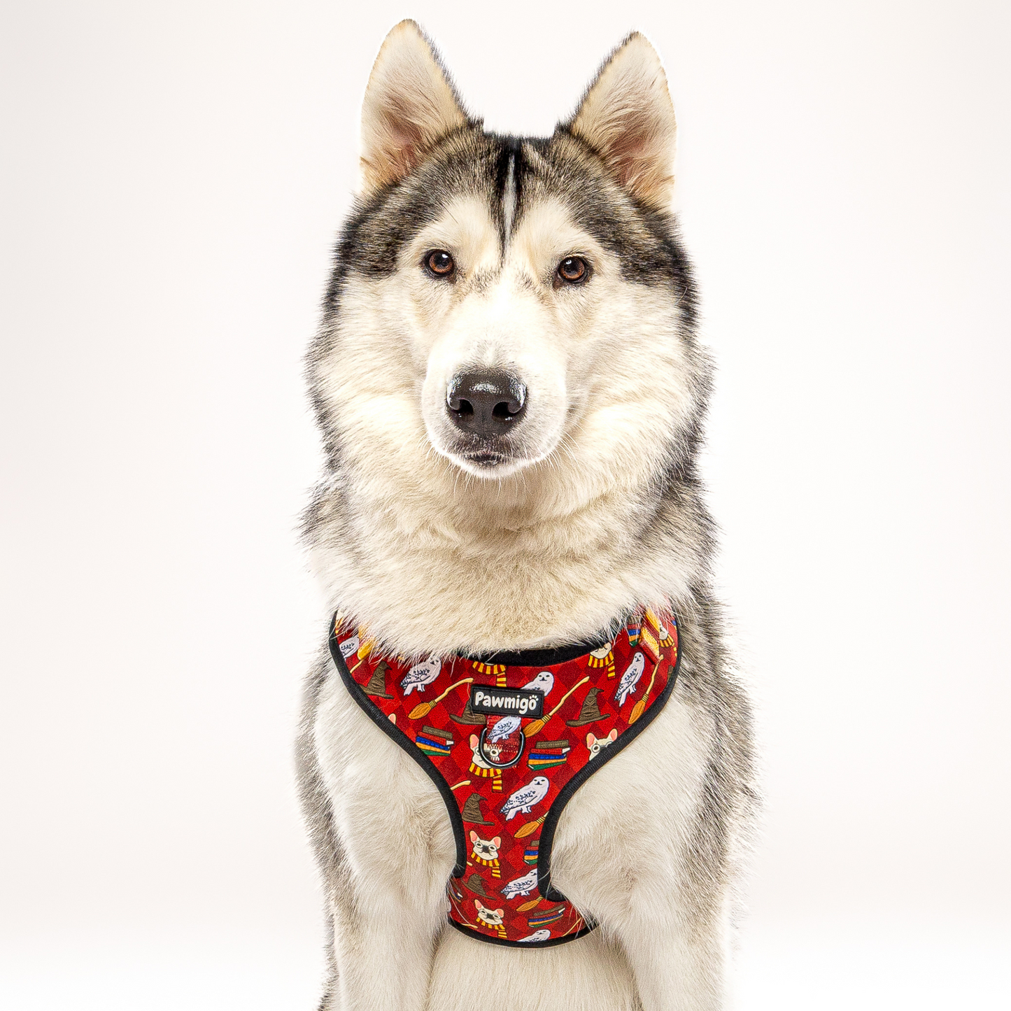 Harnais pour chien Pawgwarts Everyday réglable anti-traction