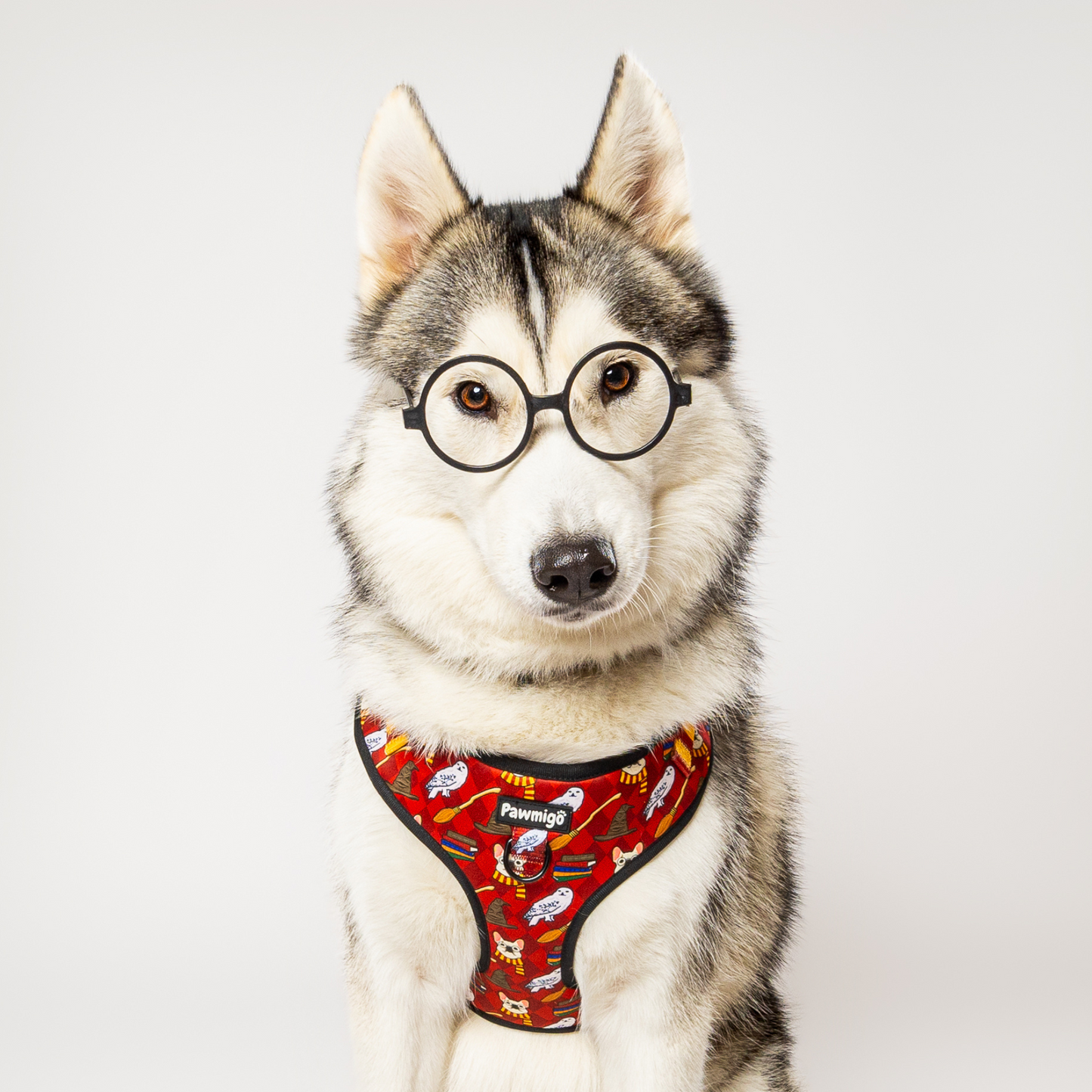 Harnais pour chien Pawgwarts Everyday réglable anti-traction