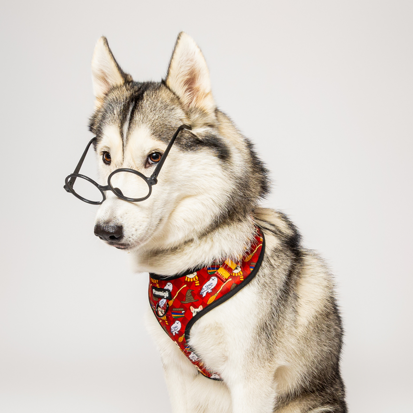 Harnais pour chien Pawgwarts Everyday réglable anti-traction