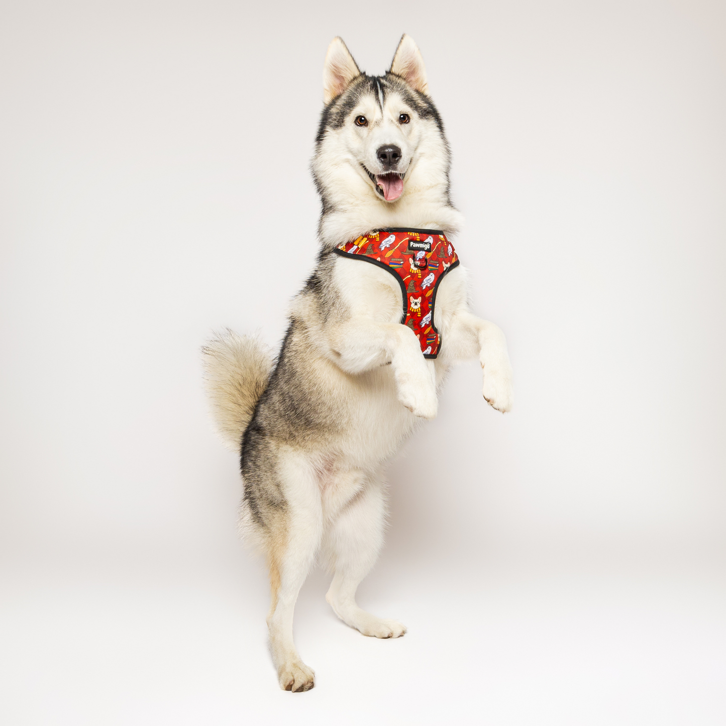 Harnais pour chien Pawgwarts Everyday réglable anti-traction