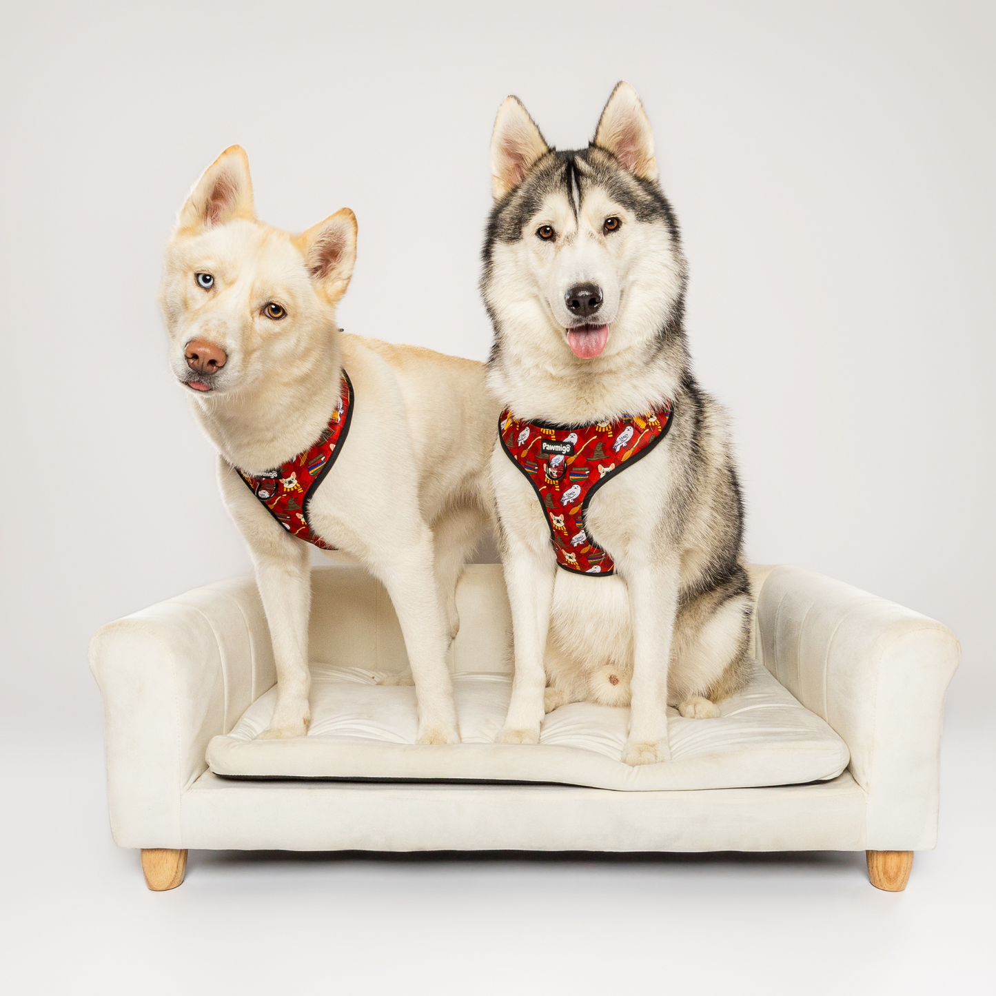 Harnais pour chien Pawgwarts Everyday réglable anti-traction