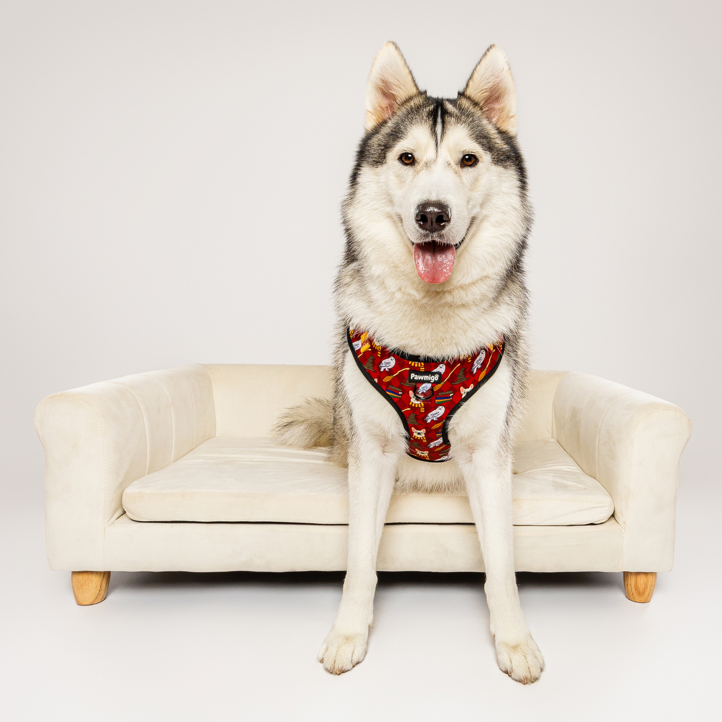 Harnais pour chien Pawgwarts Everyday réglable anti-traction