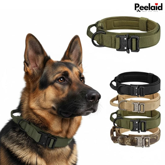 Collier tactique pour chien Peelaid™ en nylon avec boucle métallique