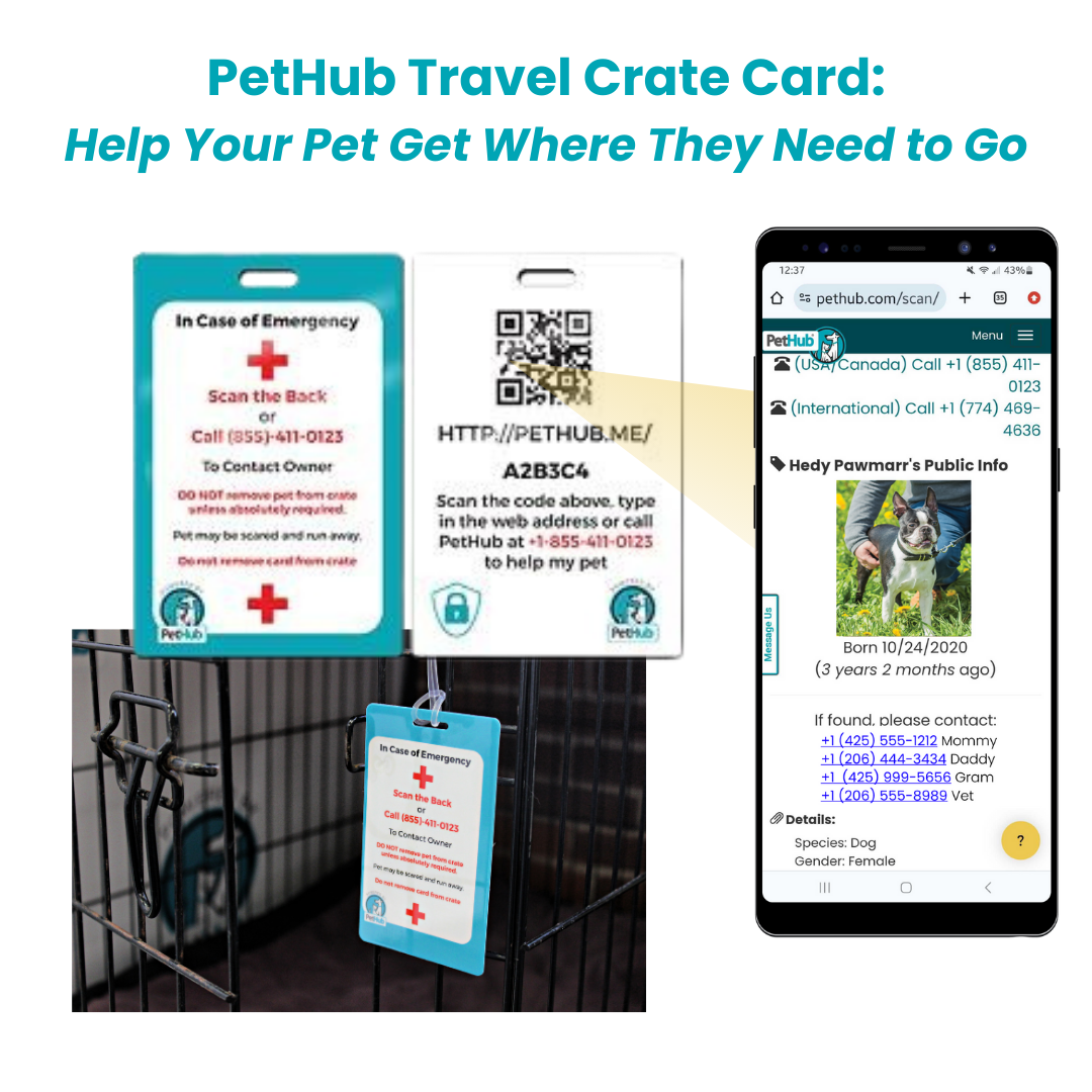 Identification QR pour animaux de compagnie : Carte de transport pour cage