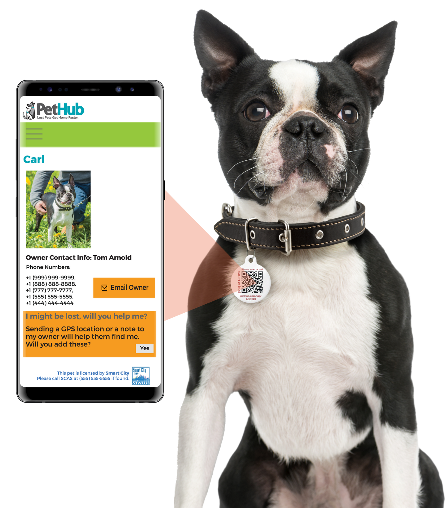 Kit completo de identificación de mascotas QR de PetHub: kit de emergencia completo