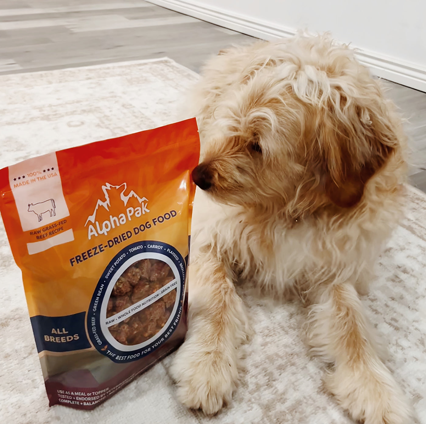Nourriture crue lyophilisée de qualité supérieure pour chiens au bœuf