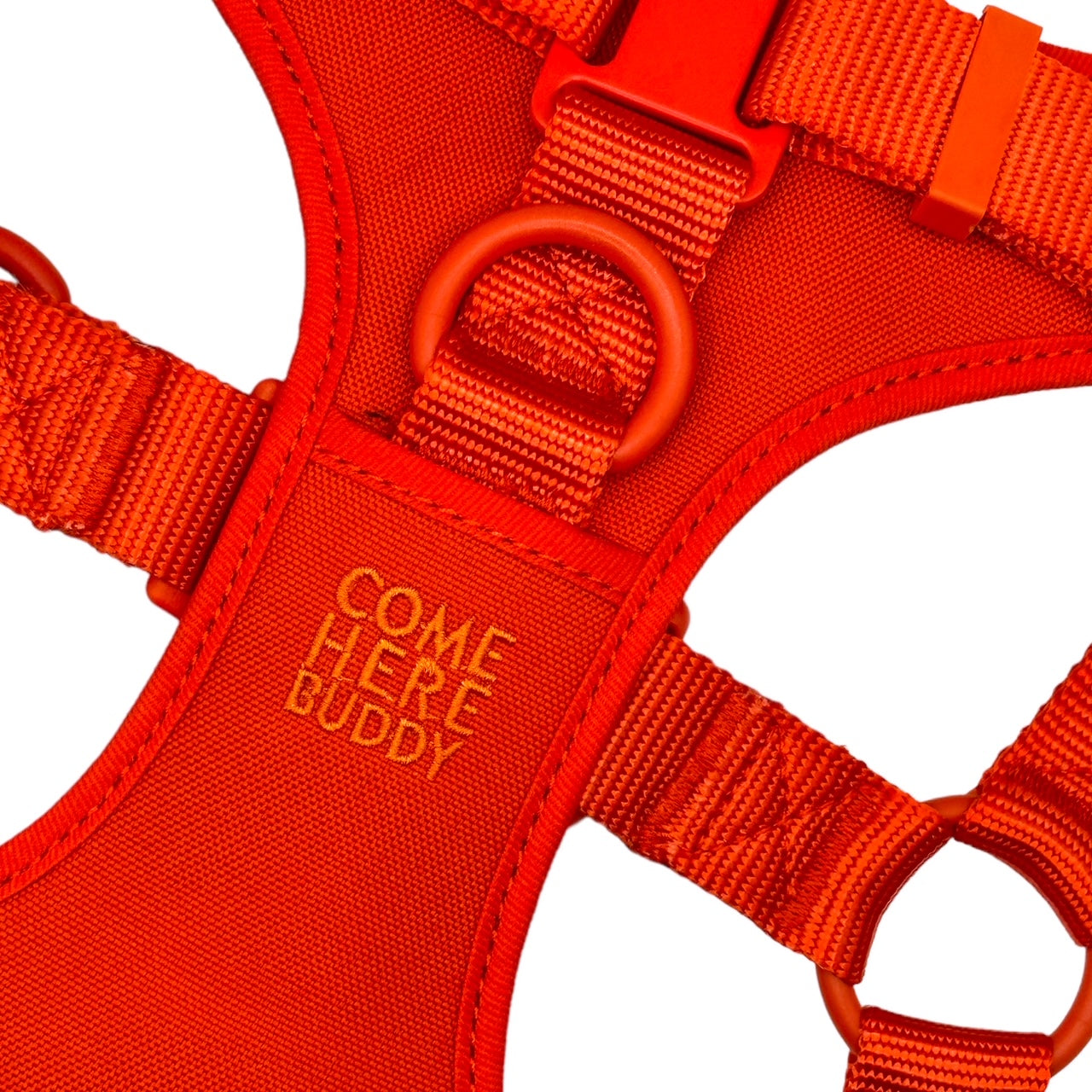 Step In Dog Harness