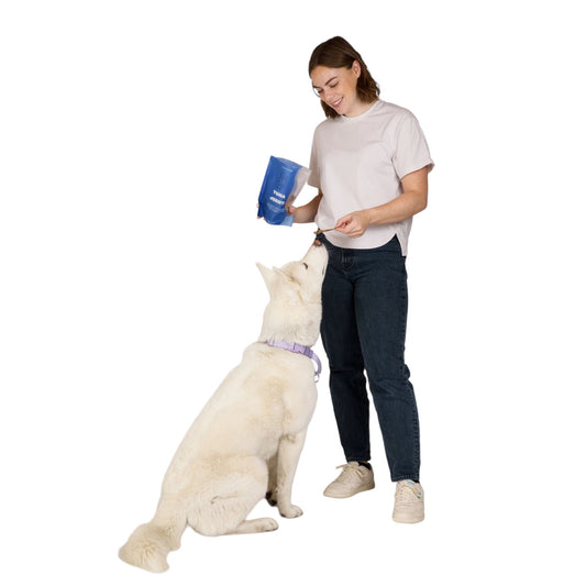 Friandises pour chiens au thon séché