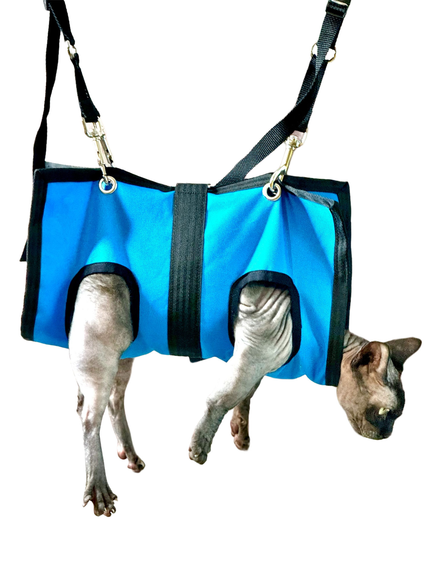 Arnés para mascotas