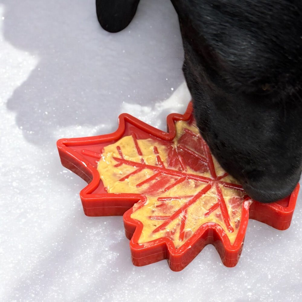Canadian Maple Leaf Nylon Dog Chew Toy - Indestructible & USA Made