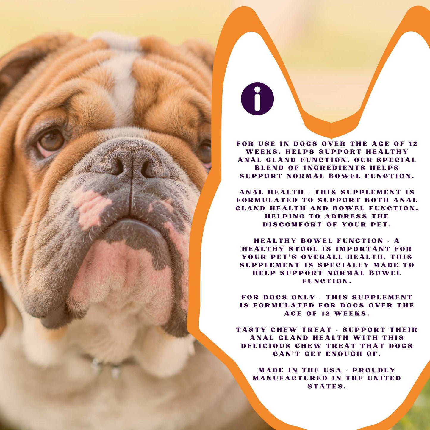 PiccardNaturePets No Stinky Butt Anal Gland Support 120ct Chews