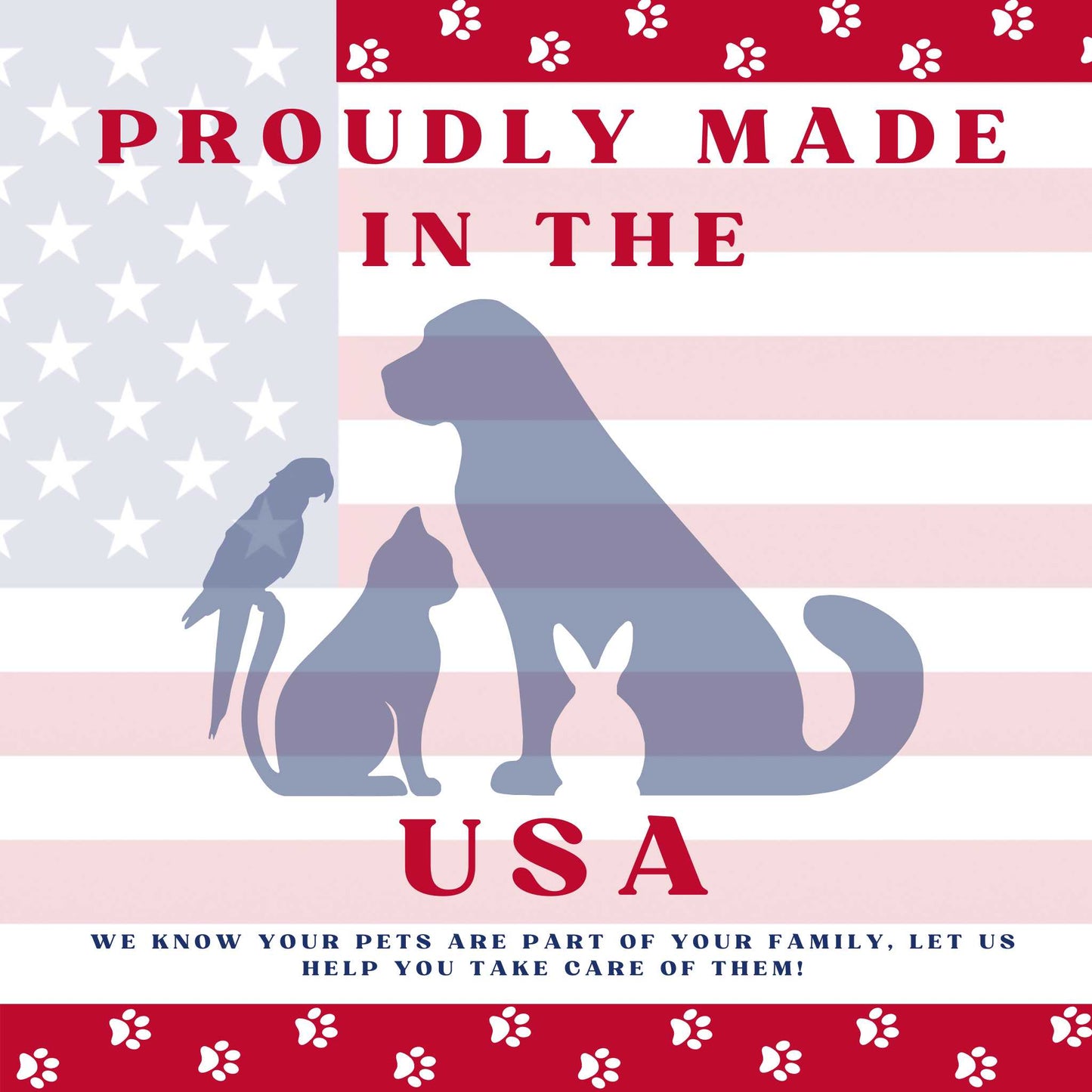 Piccardmeds4pets Keto-Itch Relief Medicated Shampoo Pet Dog 16 oz. + FREE Bandana!