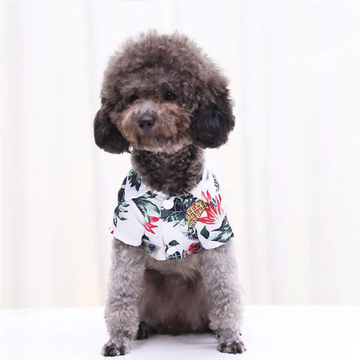 Camisas hawaianas para mascotas