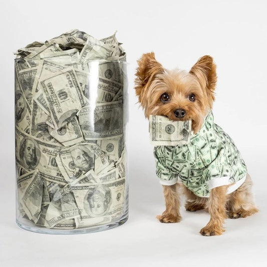 Sweat à capuche pour chien imprimé argent