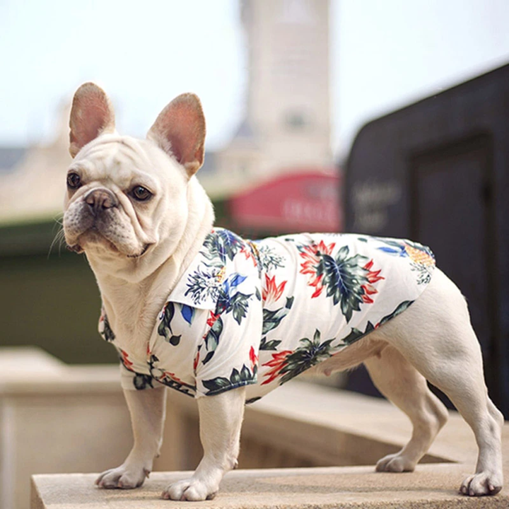 Camisas hawaianas para mascotas