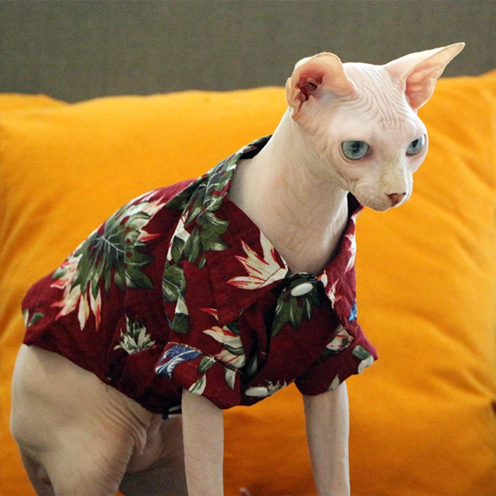 Camisas hawaianas para mascotas