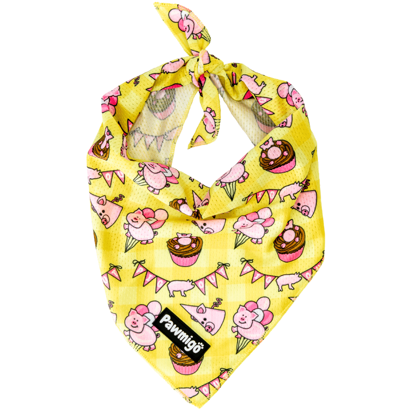 Bandana Pig Out