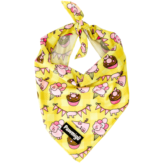 Bandana Pig Out