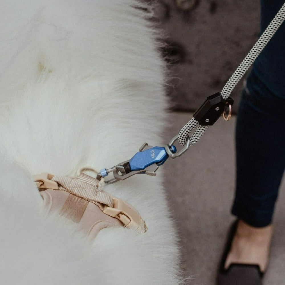 Correa magnética patentada para perros: conexión y liberación con una sola mano