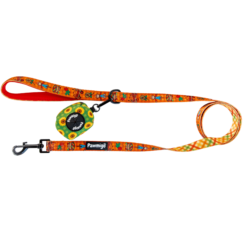 Kit de laisse pour chiot