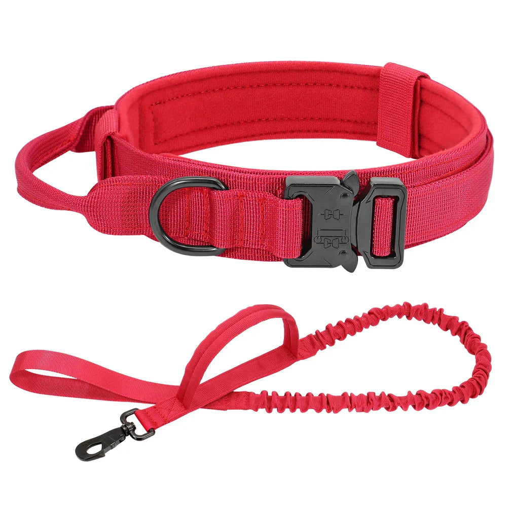 Collier et laisse Tactical Luxe