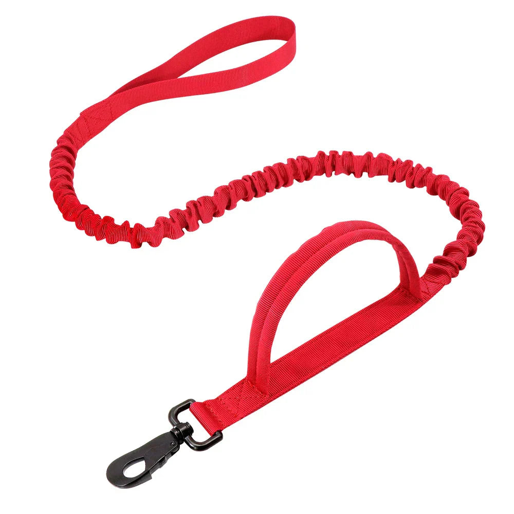 Collier et laisse Tactical Luxe