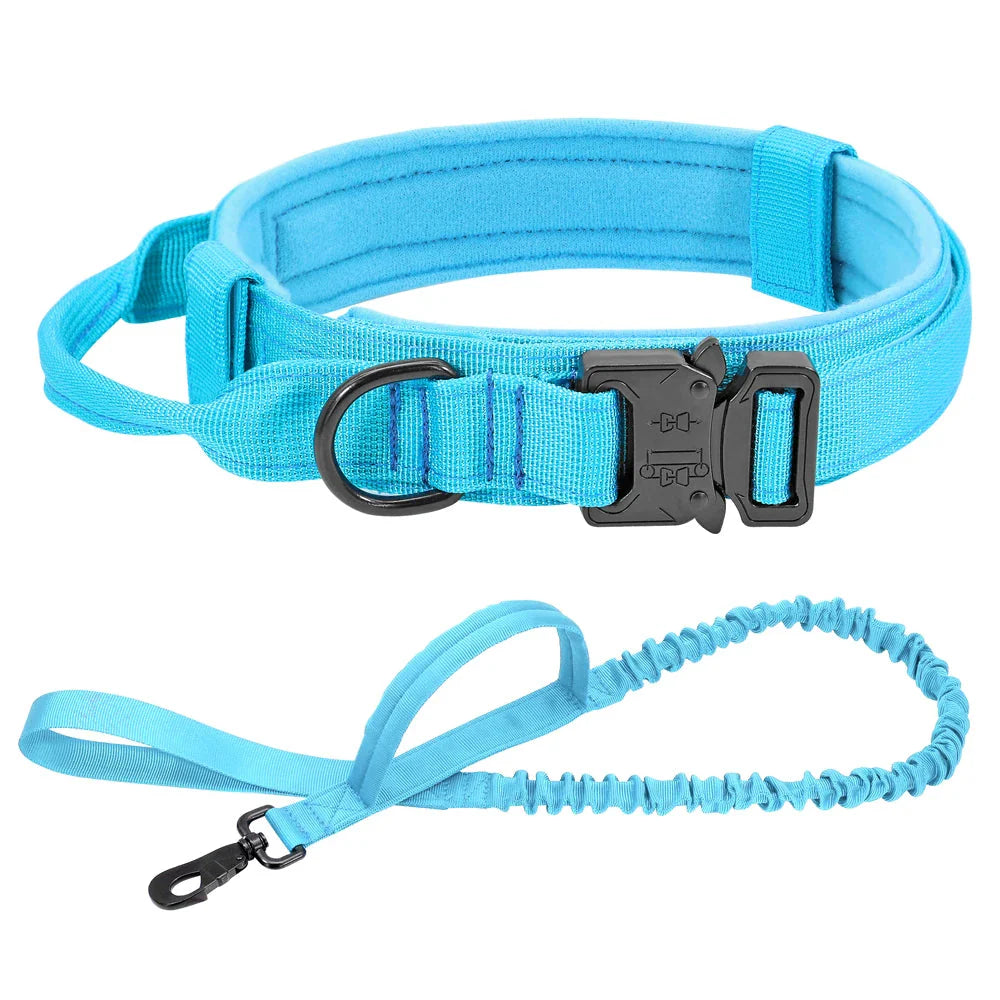 Collier et laisse Tactical Luxe