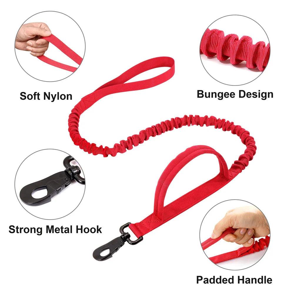 Collier et laisse Tactical Luxe