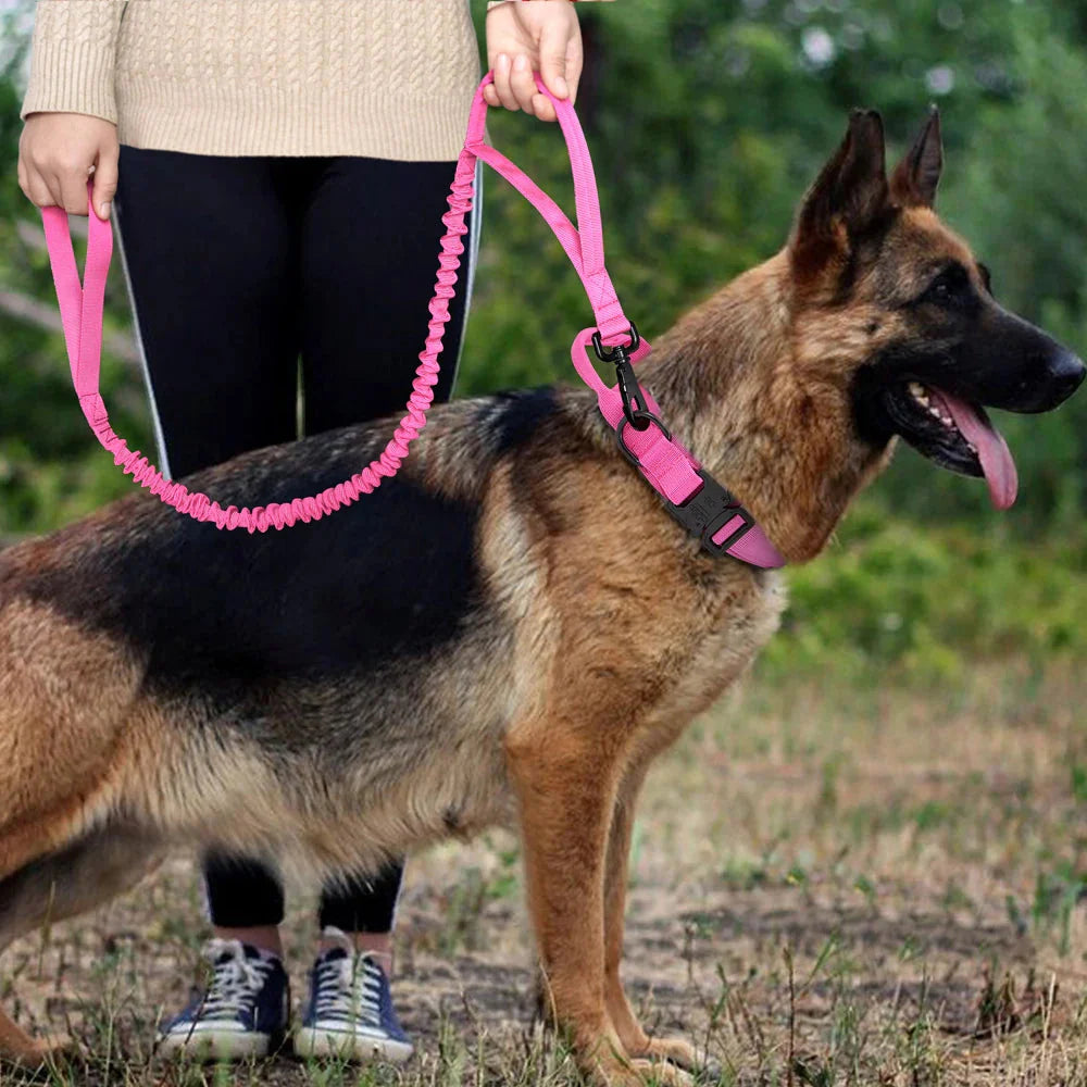 Collier et laisse Tactical Luxe