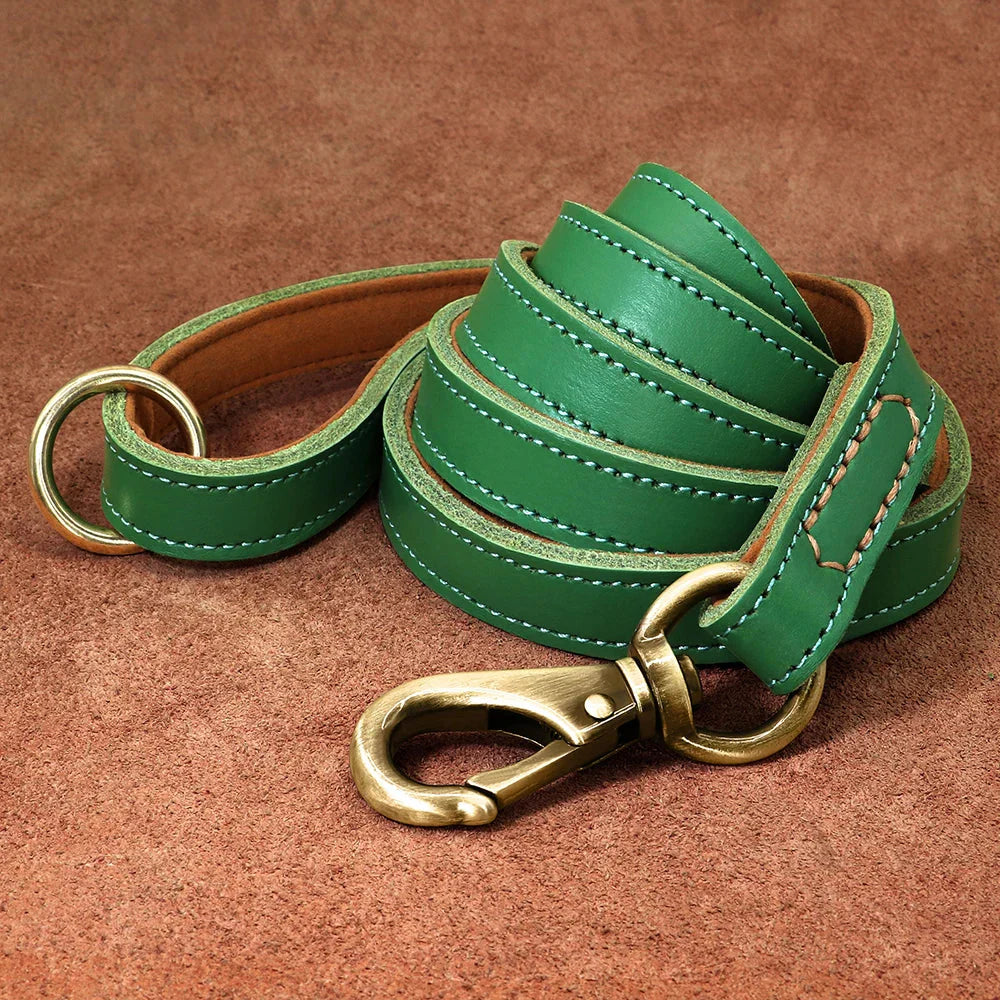 Correa de cuero clásica - Correa premium para perros