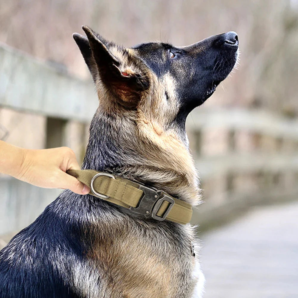 Collier et laisse Tactical Luxe