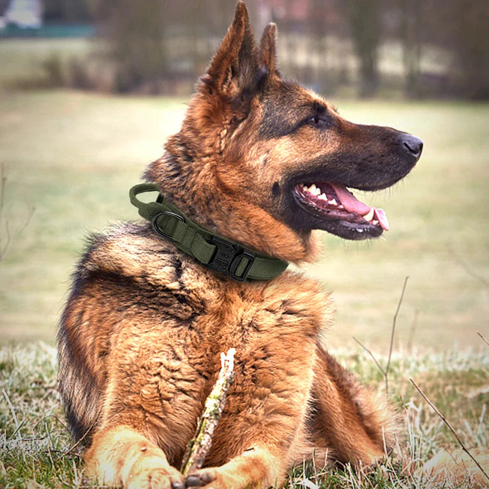 Collier et laisse Tactical Luxe