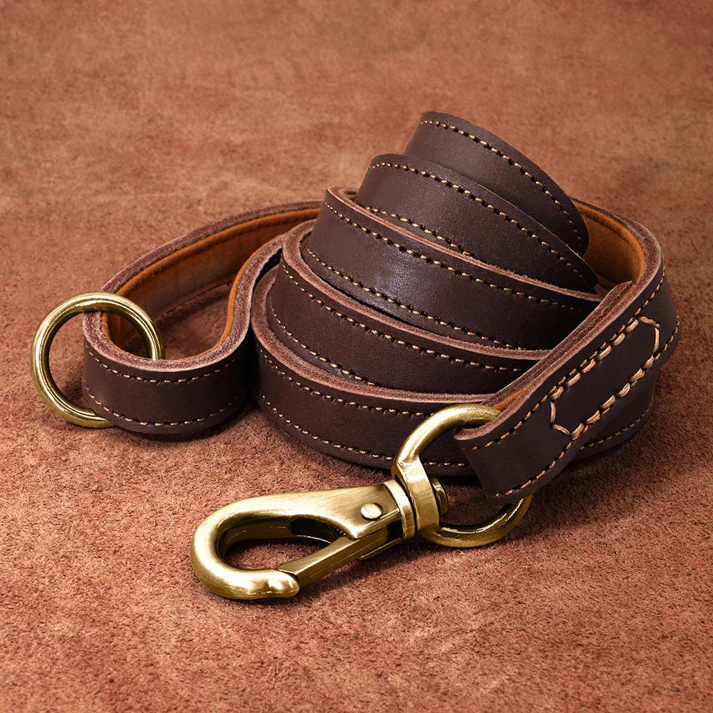 Correa de cuero clásica - Correa premium para perros