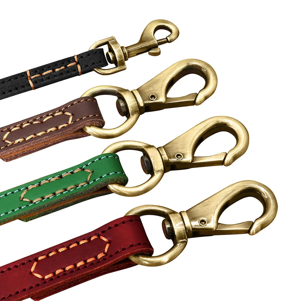 Correa de cuero clásica - Correa premium para perros