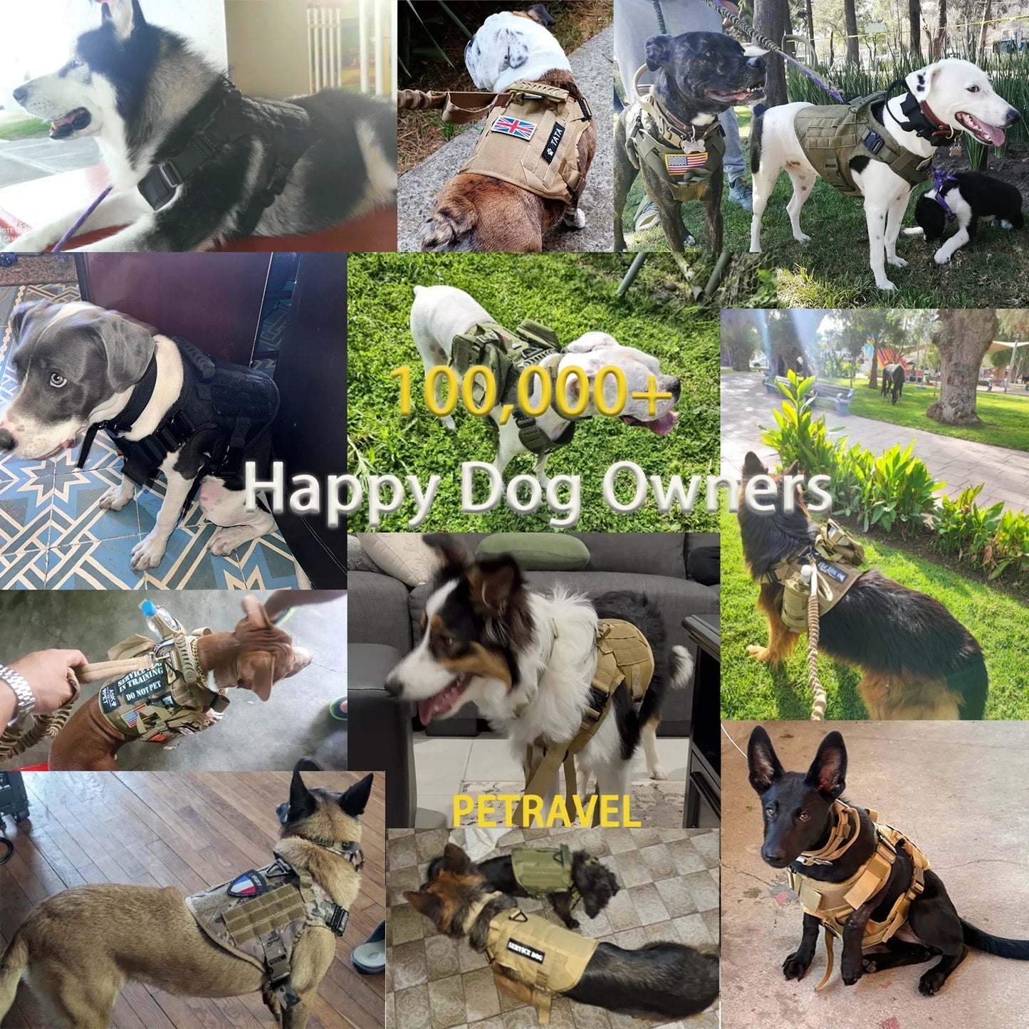 Conjunto de arnés y correa tácticos para perros Ultimate Explorer